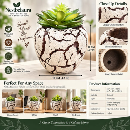 A Nestbelaura faux succulent in a decorative cracked concrete pot, shown with multiple informational panels detailing its dimensions, texture, and use cases.