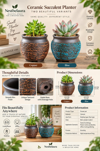 Nestbelaura Ceramic Planter – Succulent Pot for Home & Office