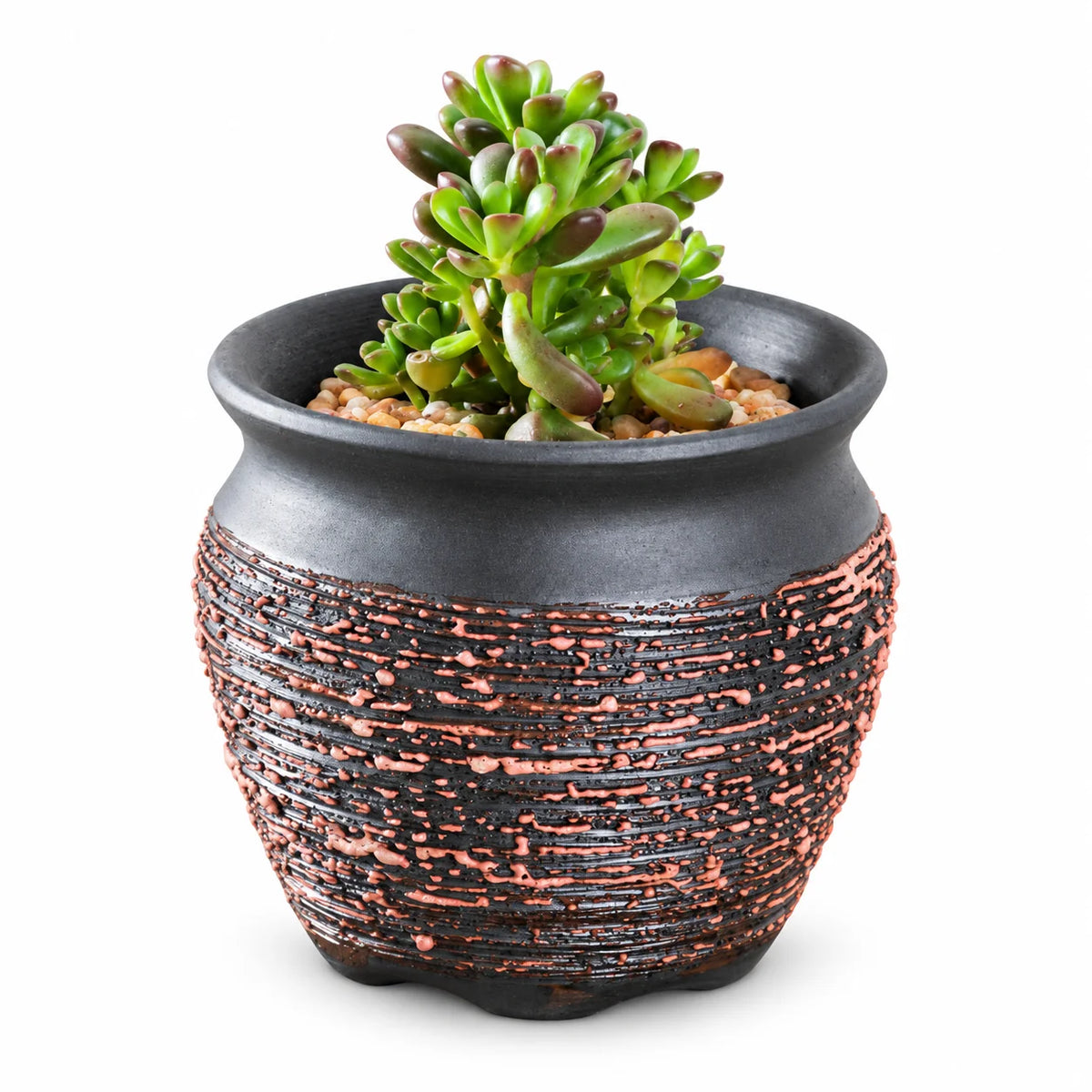 Nestbelaura Ceramic Planter – Succulent Pot for Home & Office